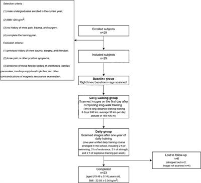 Analysis of Knee Joint Injury Caused by Physical Training of Freshmen Students Based on 3T MRI and Automatic Cartilage Segmentation Technology: A Prospective Study